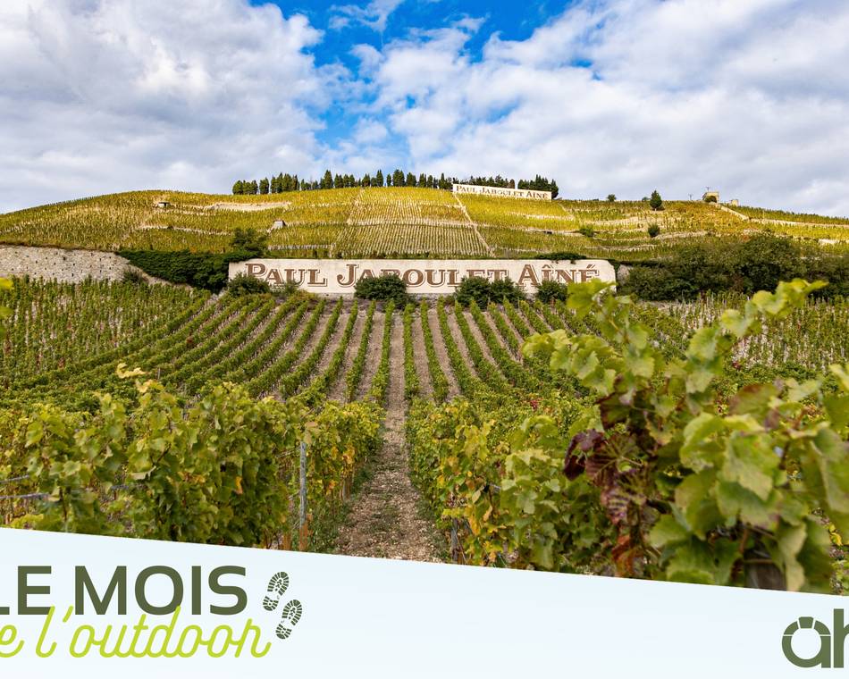 Randonnée en Hermitage et Dégustation - Vineum