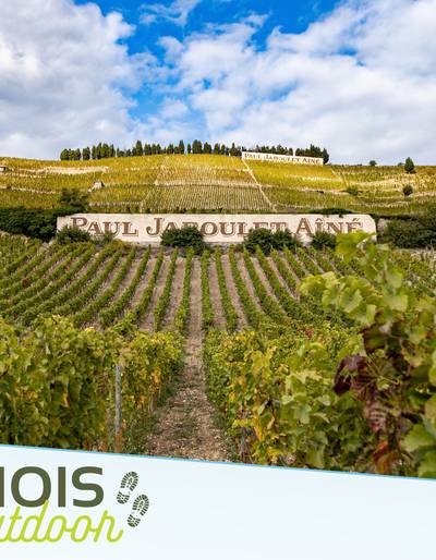 image-Randonnée en Hermitage et Dégustation - Vineum