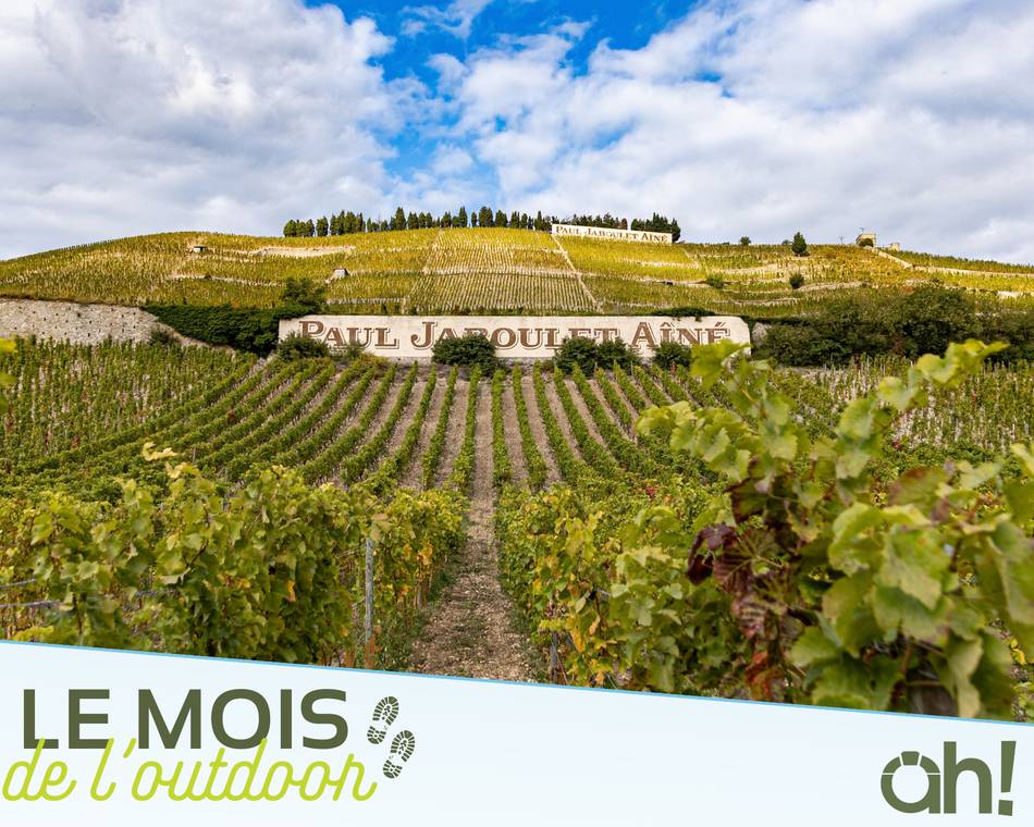 Randonnée en Hermitage et Dégustation - Vineum