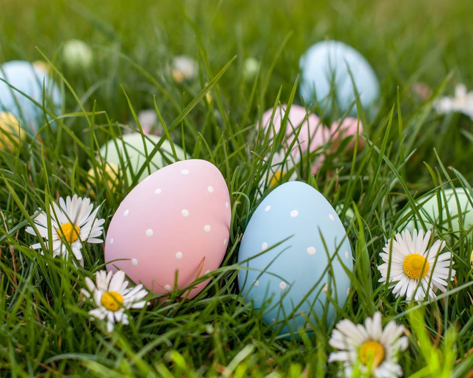 Grande chasse aux oeufs de Pâques