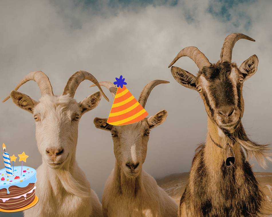 Festicornes des 25 ans