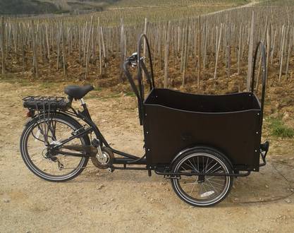 Winery tours on electric bikes