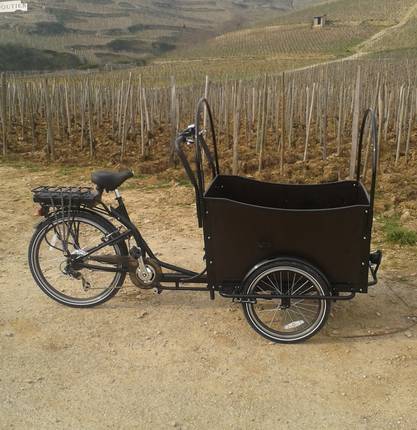 Wine tours on an electric bike