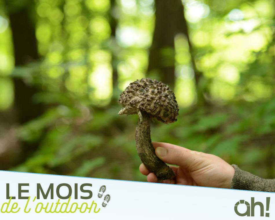 L'aventure en pleine nature : ateliers pour enfants