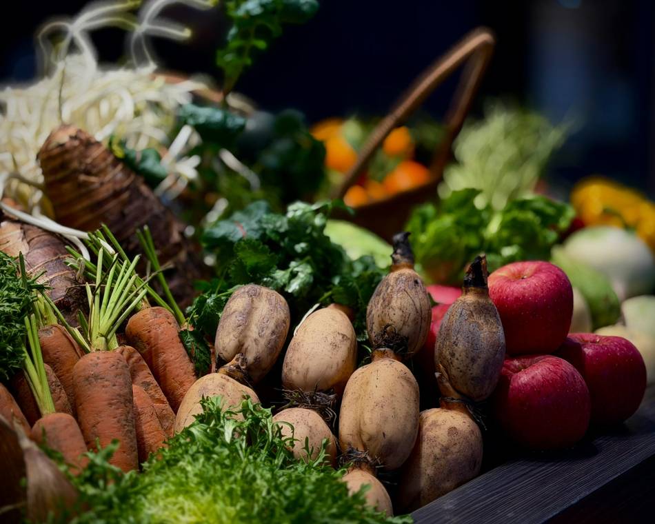 Cam Ô Mille Fleurs et la Ferme des Genêts - De Ferme en ferme