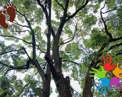 Festival des pieds des mains