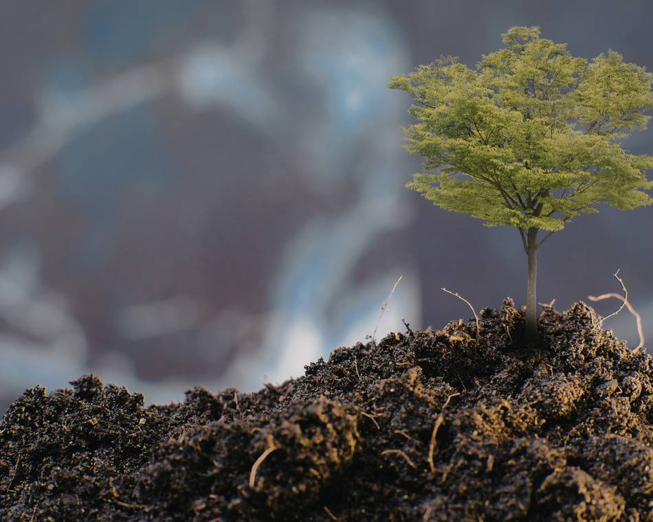 Jardinage zéro déchets - Tous au compost