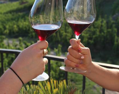Vineyard aperitif at Domaine Goudard