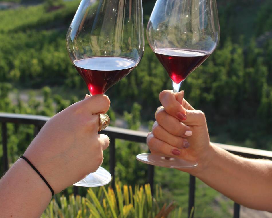 Apéro-vignes au Domaine Goudard