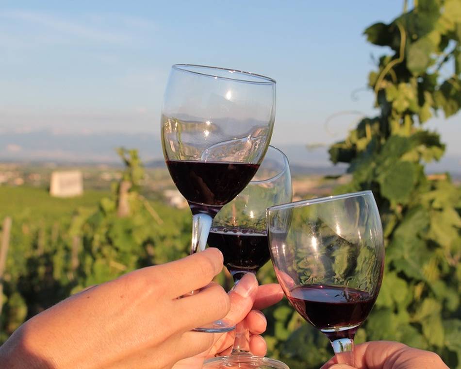 Apéro-vignes au Domaine des Arcandres