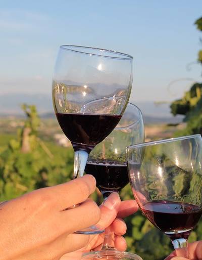 image-Apéro-vignes au Domaine Vendome