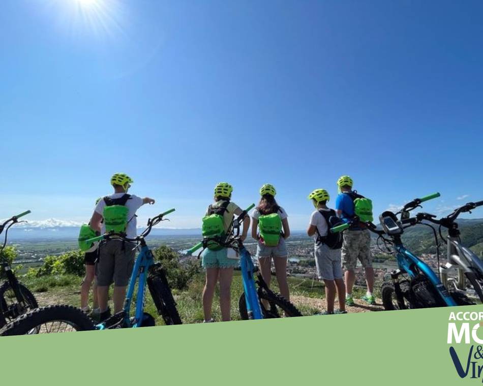 Balade en trott électrique tout terrain dans les vignobles - Terre de Syrah