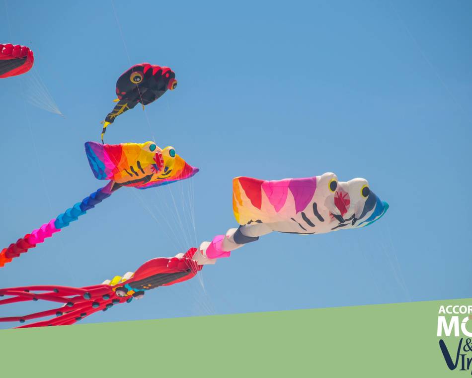 Fête des enfants - Jardin Zen