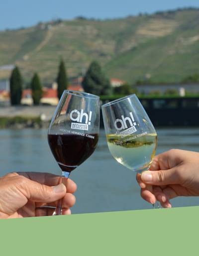 image-Apéro sur l'eau "Rhône Nord vs. Rhône Sud" - les Canotiers et Terres de Syrah