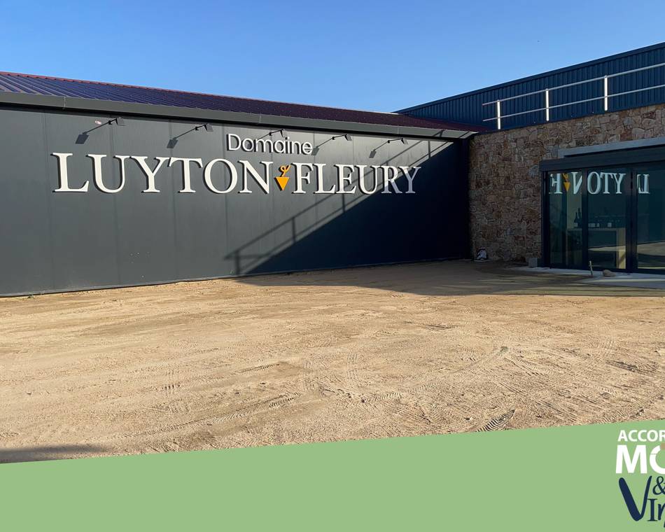 Chasse à la bouteille au Domaine Luyton-Fleury