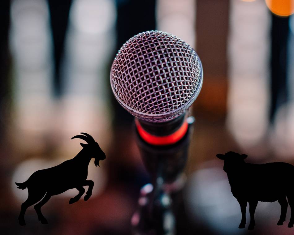 1001 chansons à la carte - Festicornes