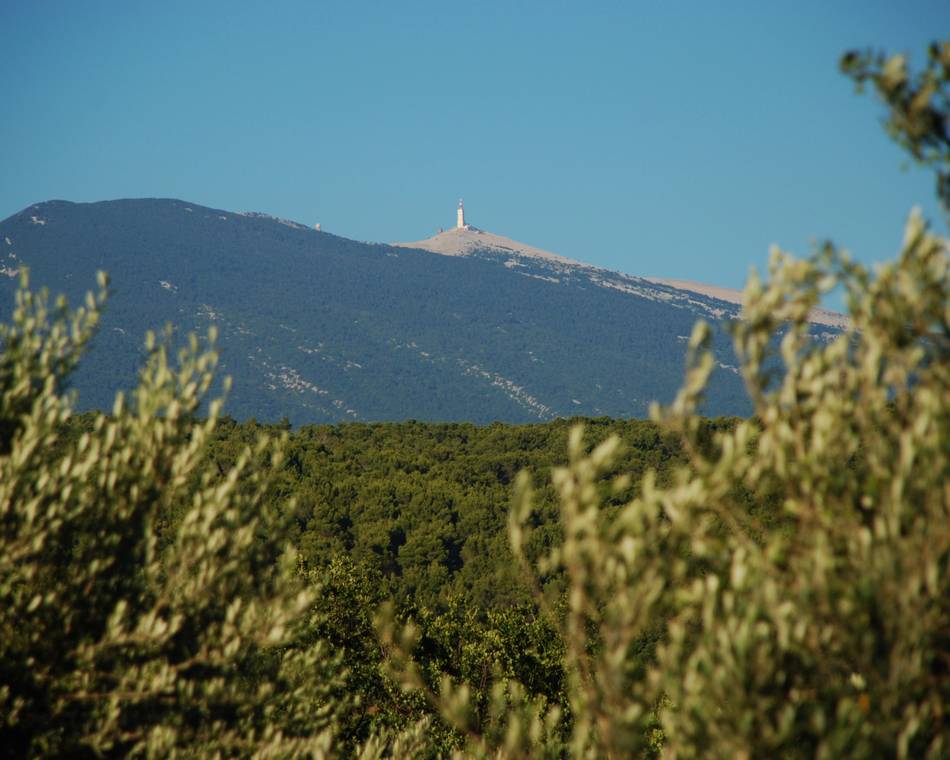 Concert "polyphonie du Ventoux" Tant que li Siam - Festival Vochora