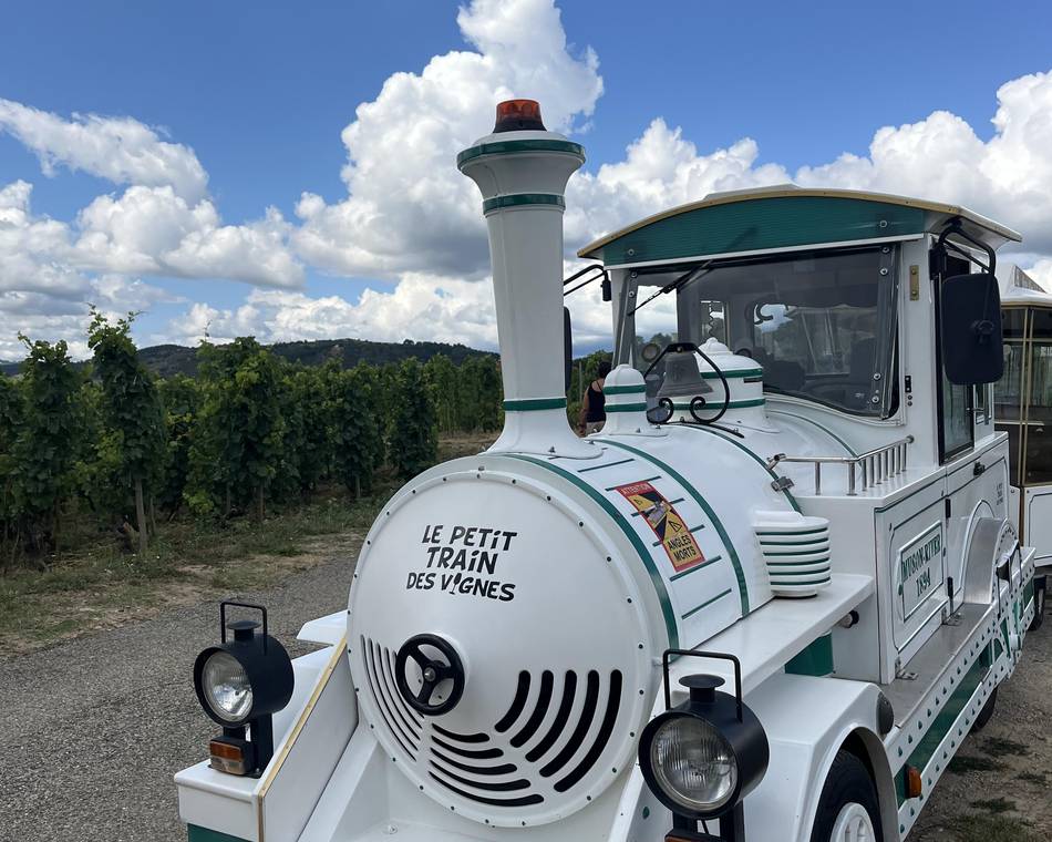L'Apéro Quiz dans les Vignes - Le petit train des vignes