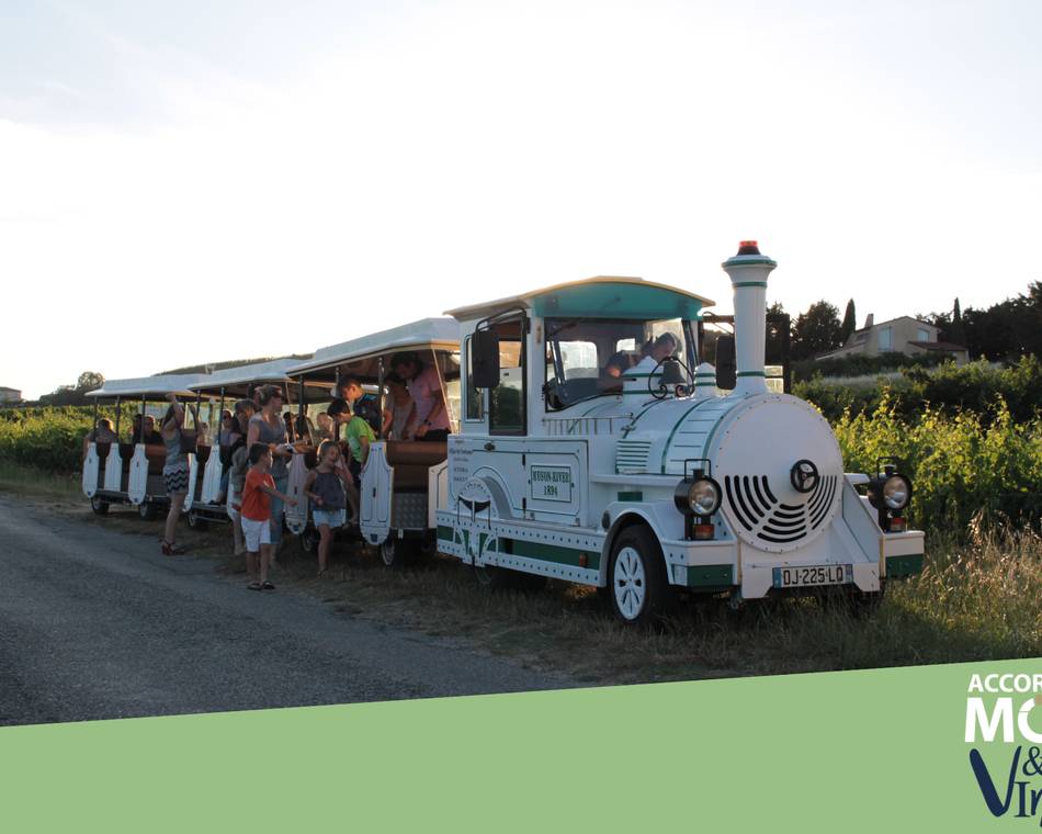L'Apéro Quiz dans les Vignes - Le petit train des vignes