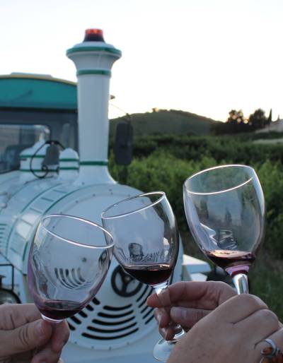 image-Soirée Les Vins de Viennes et Petit train des vignes à la Cages aux fleurs