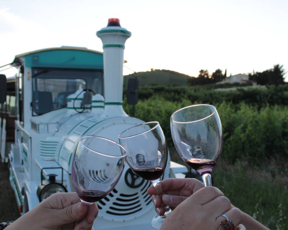 Soirée Les Vins de Viennes et Petit train des vignes à la Cages aux fleurs