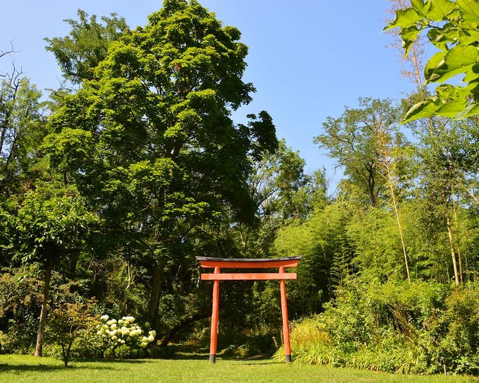 Nocturne au jardin zen