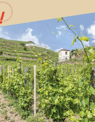 image-Découverte du vignoble en vélo à assistance électrique - Maison M. CHAPOUTIER