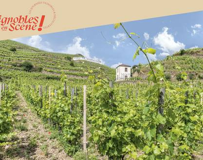 Explore the vineyards by e-bike - Maison M. CHAPOUTIER