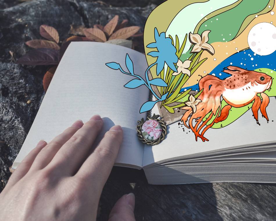Balade dessinée - Partir en Livre