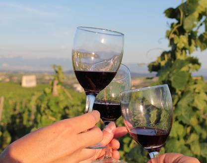 Tag der offenen Tür auf dem Weingut Morlanche