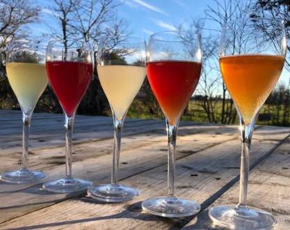 Les ateliers de fermentations, découverte de la fermentation - Les Graines de Carène