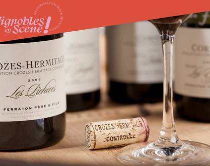 Prestige Wine Tasting - Cave Ferraton Père & Fils