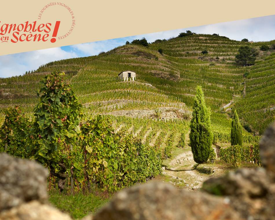 Chasse au trésor "Les Secrets de l'Hermitage" - Maison Delas Frères