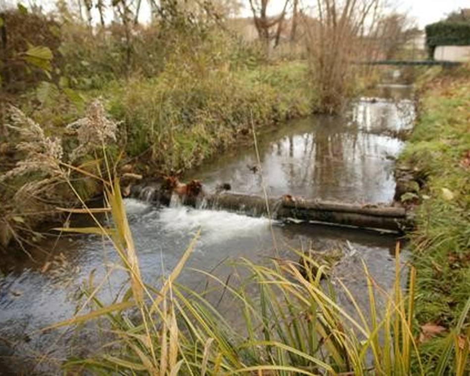 Exposition « Au fil de l’eau de la Bouterne et de la Burge » par l'association Chantemerle d'Hier et d'Aujourd'hui - Journées Européennes du Patrimoine