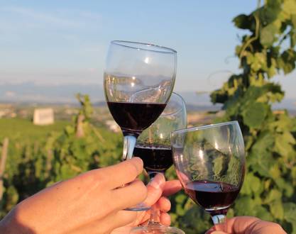 Weinverkostung in den Weinbergen der Domaine Rouchier – Bio- und regionale Küche