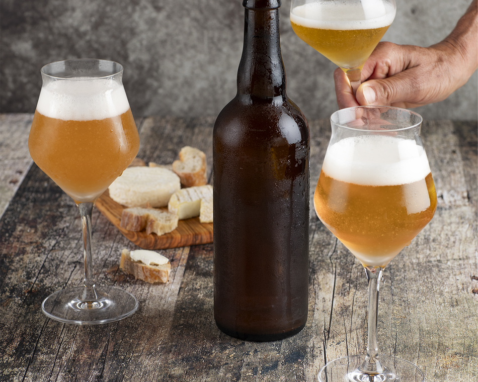 Atelier Découverte - Vin & Bière - M.CHAPOUTIER