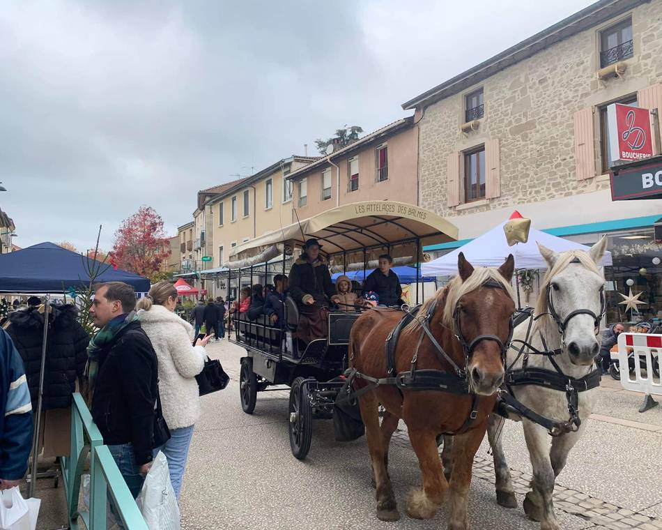 Marché de Noël - Saint Donat sur l'Herbasse