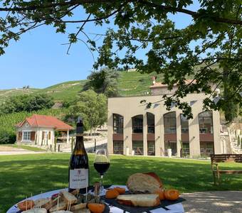 image-Terres de Syrah