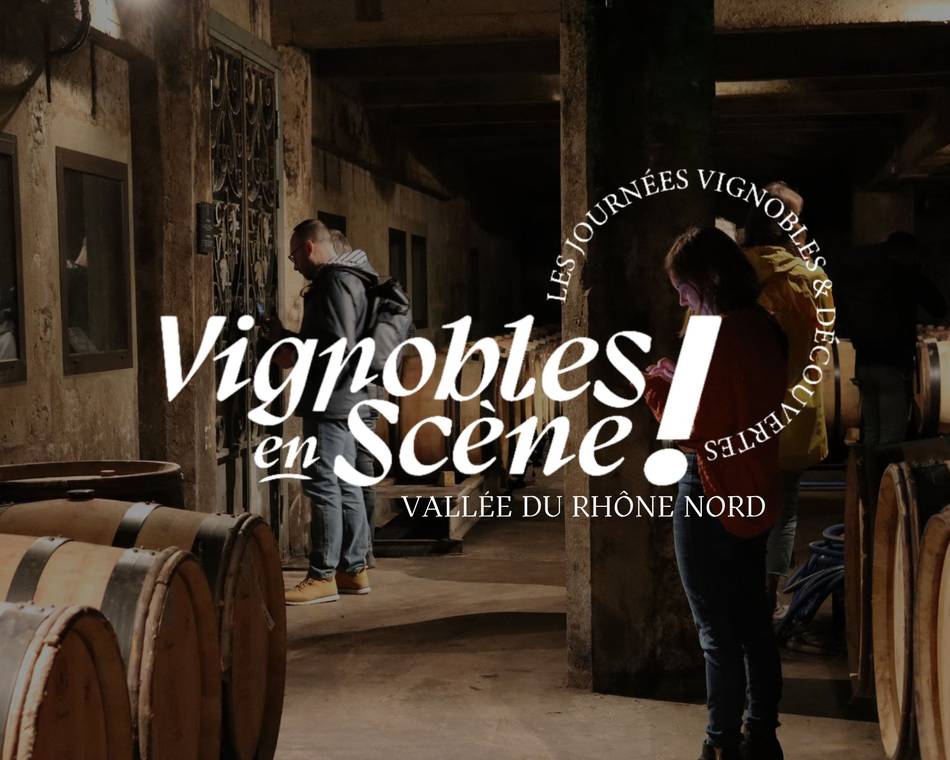 Vignoble en scène : Les Journées Vignobles & Découvertes - Vallée du Rhône Nord