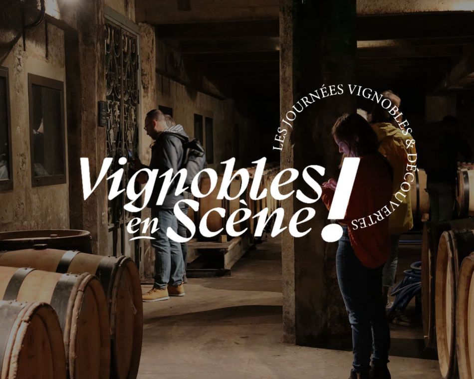 Vineyard on stage ! "Vignobles & Découvertes" - Northern Rhone Valley