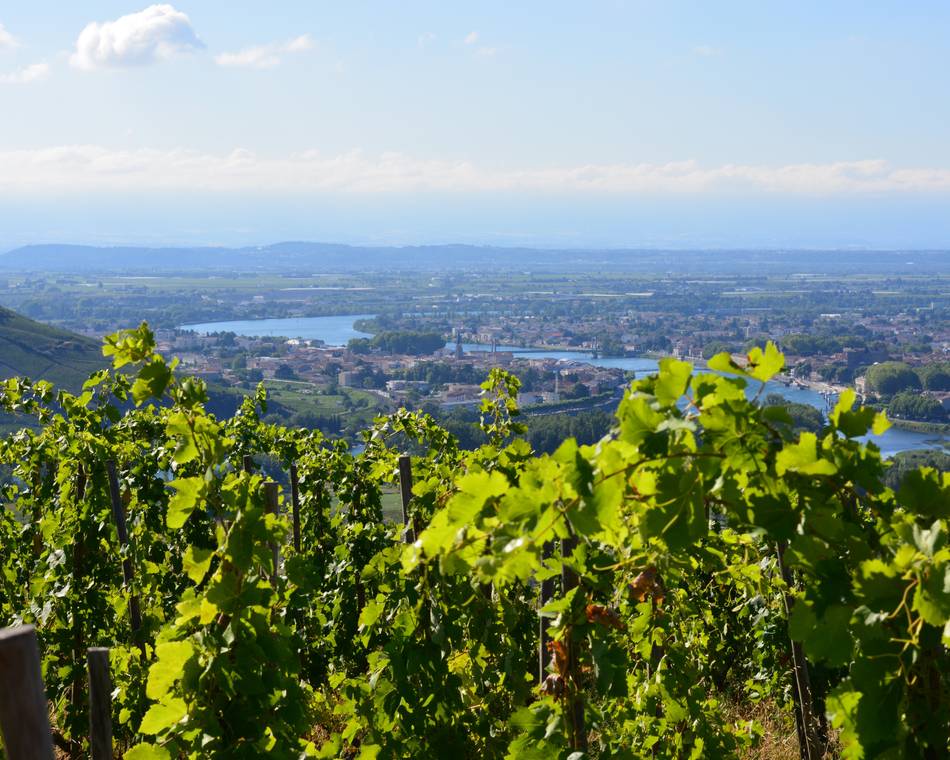 Mountain bike trail - The heights of Hermitage
