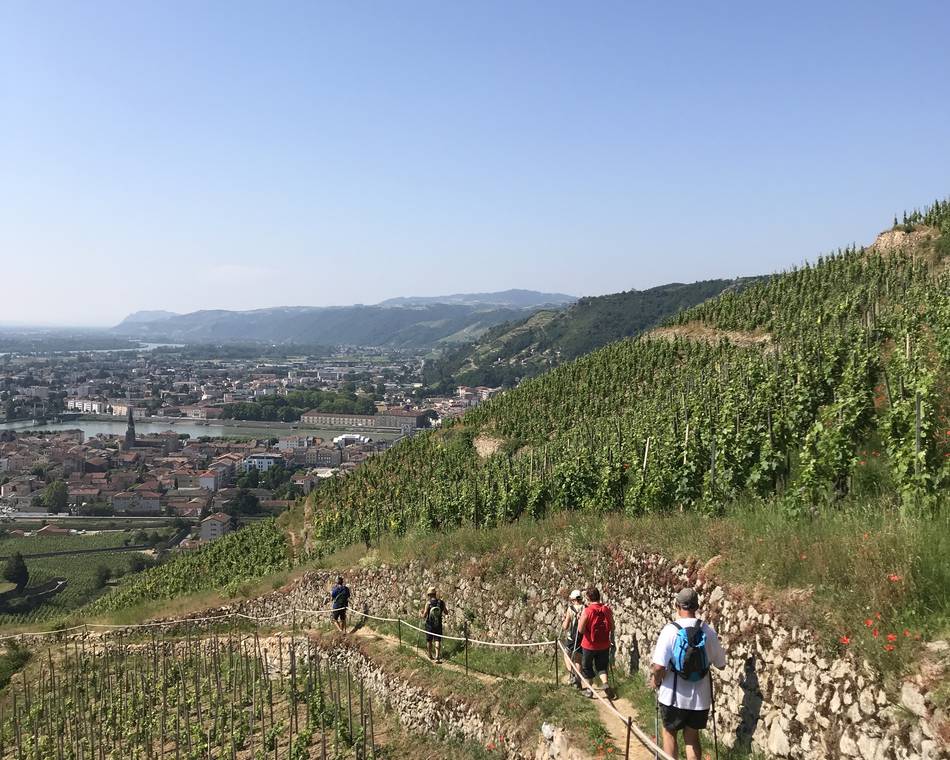 Randovignes avec Terres de Syrah by Cave de Tain