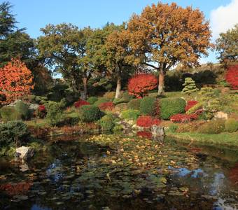 image-Jardin zen d'Erik Borja