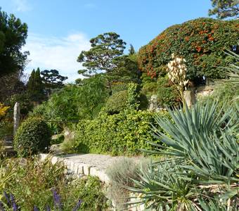 image-Jardin zen d'Erik Borja