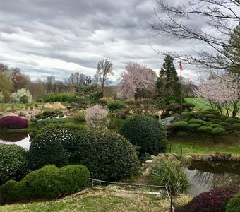 image-Erik Borja's zen garden