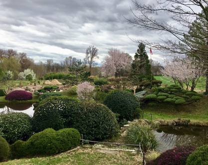 Erik Borjas Zen Garten