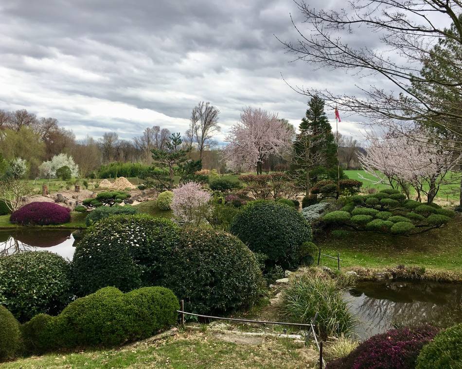 Jardin zen d'Erik Borja