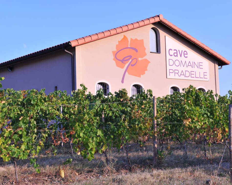 Domaine Pradelle wine cellar