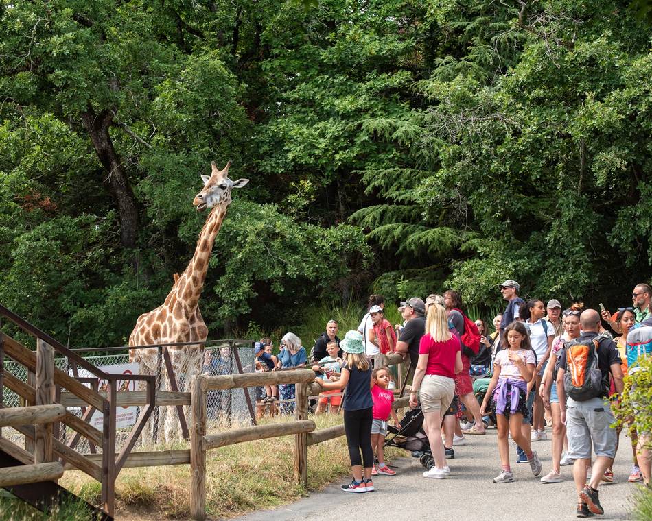 Peaugres Safari Park