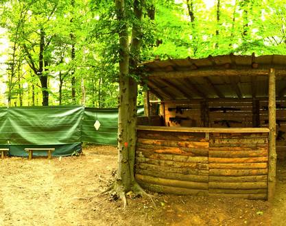 Airsoft park